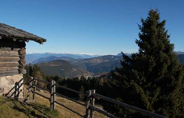 L'aldeina e le sue prospettive