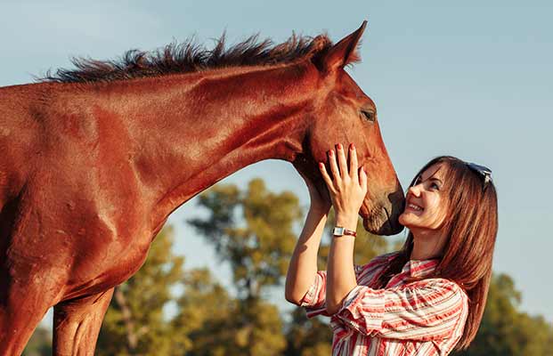 Un cavallo e una donna