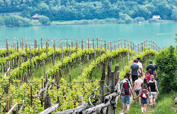 Passeggiata tra le vigne