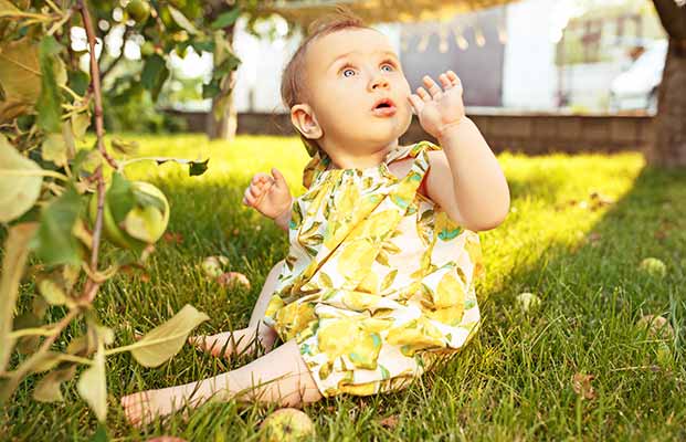 Bambino affascinato sotto un albero 