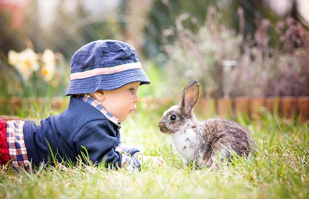 Un bambino con un coniglietto in giardino