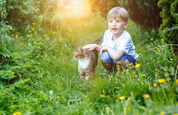 Un ragazzo accarezza un gatto