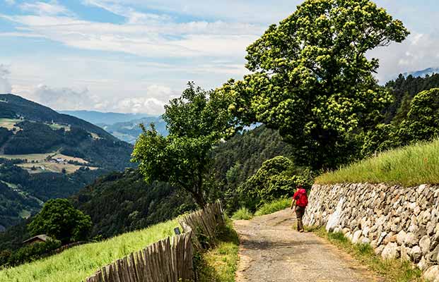 Passeggiata lungo il sentiero dei castagni