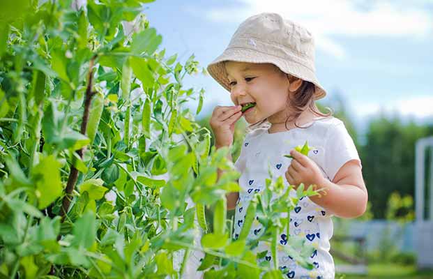 Una bambina assaggia dal giardino delle erbe