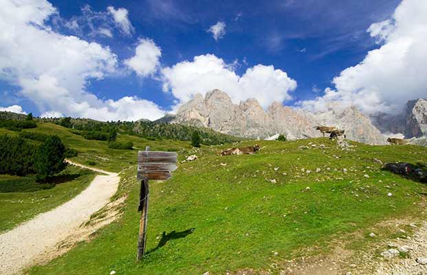 Le montagne del Gruppo Geisler