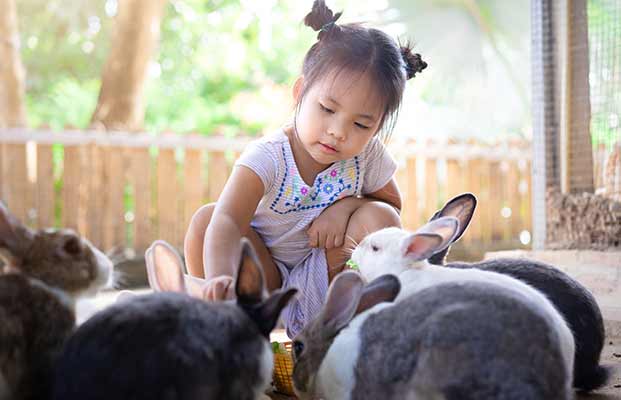 Una ragazza con molti conigli