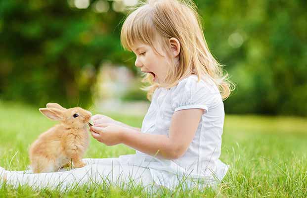 Una bambina gioca con un coniglio
