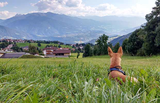 Vista su Maranza