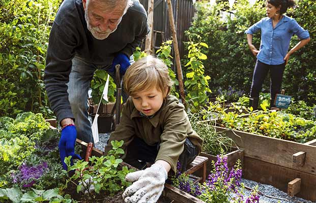 La famiglia fa giardinaggio