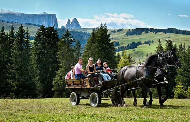 Esperienza in carrozza con tutta la famiglia