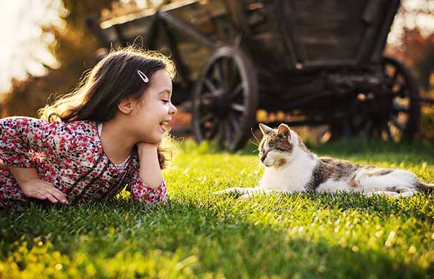 Ragazza e gatto che giocano al sole della sera