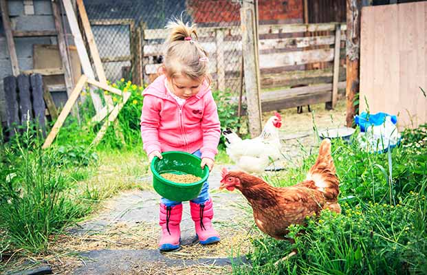 Ragazza che dà da mangiare alle galline