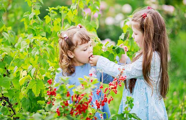 I bambini mangiano la frutta in giardino