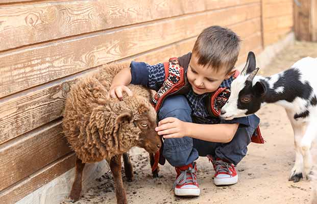 Un bambino con gli animali della fattoria