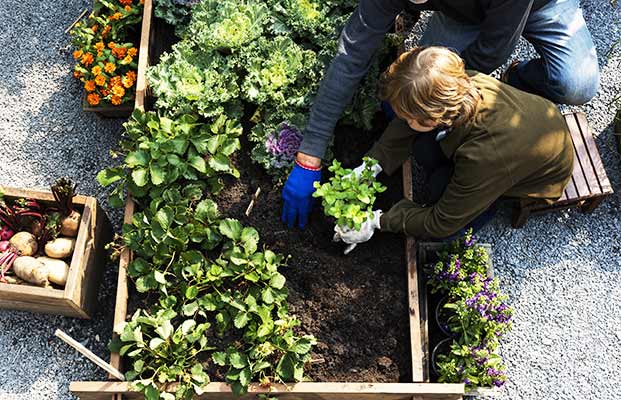 Padre e figlio si dedicano al giardinaggio