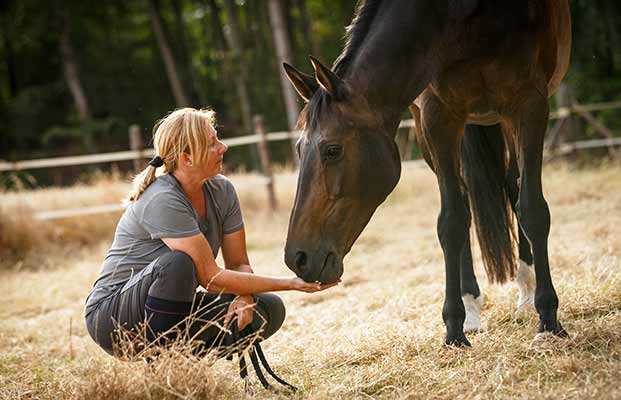 Donna dà da mangiare al cavallo