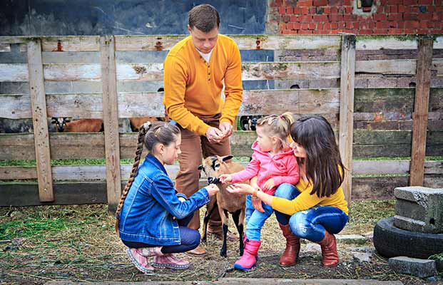 La famiglia esplora gli animali della fattoria