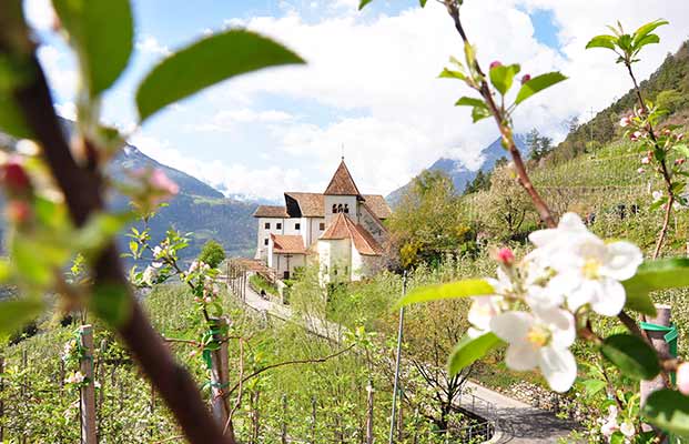 Regione turistica Tirolo