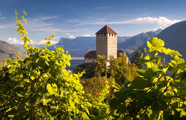 Vista su Castel Tirolo