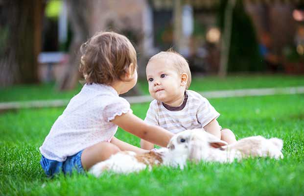 I bambini accarezzano i conigli