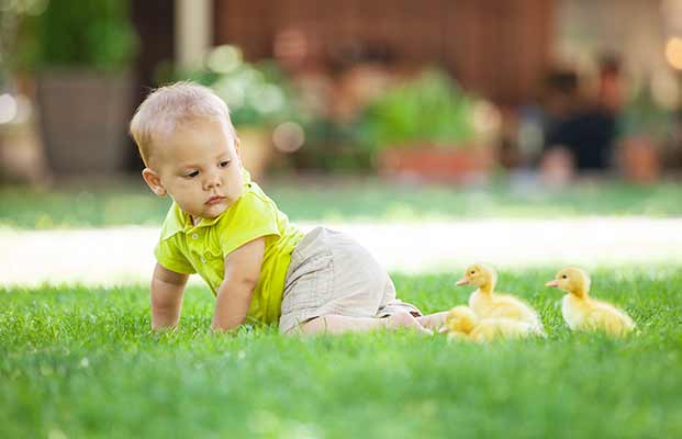 Bambino che gioca con il pulcino