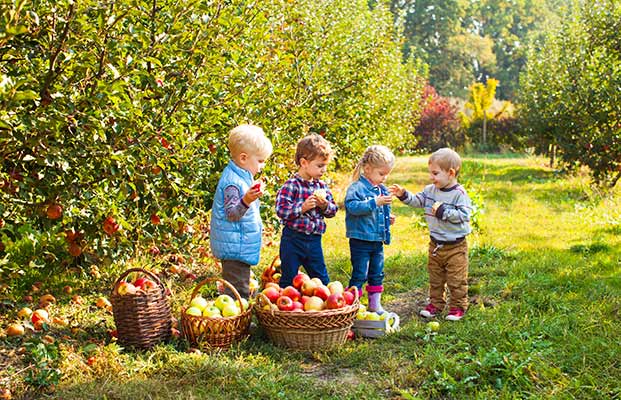 I bambini guardano il raccolto di mele
