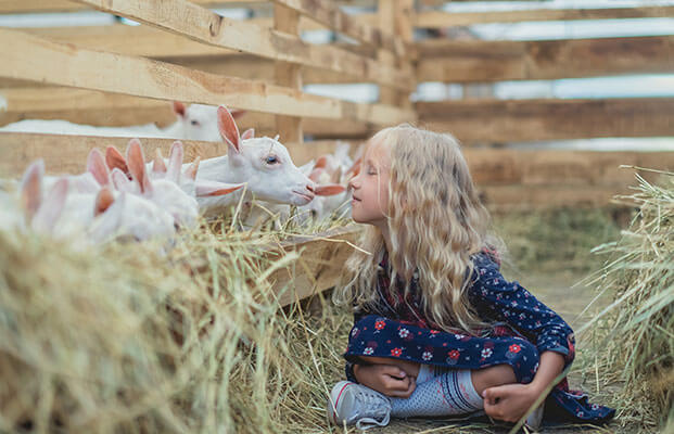 Bambino che esplora gli animali della fattoria