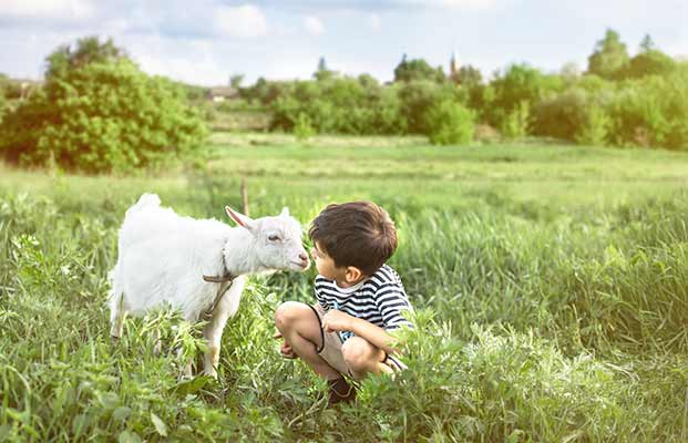 Bambino e capra in un prato