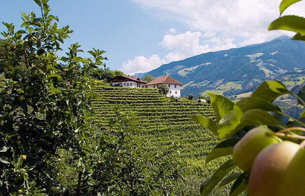 Vista su Rifiano