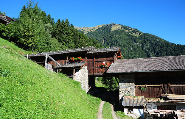 Agriturismo a Rifiano