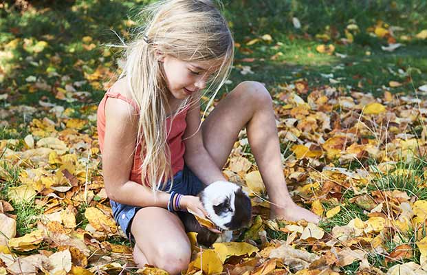 Una ragazza accarezza un animale da fattoria