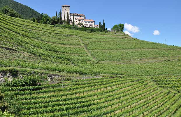 Castello di Lebenberg