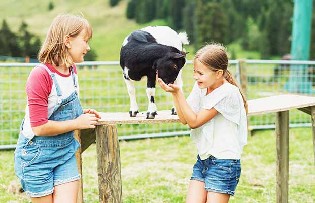 I bambini accarezzano gli animali della fattoria