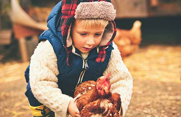 Bambino che tiene in mano un pollo