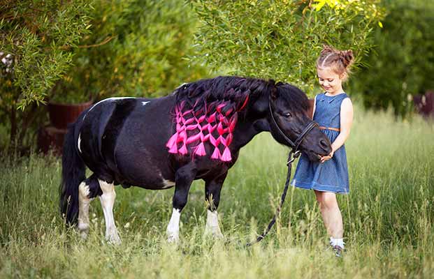 Ragazza che accarezza un cavallo