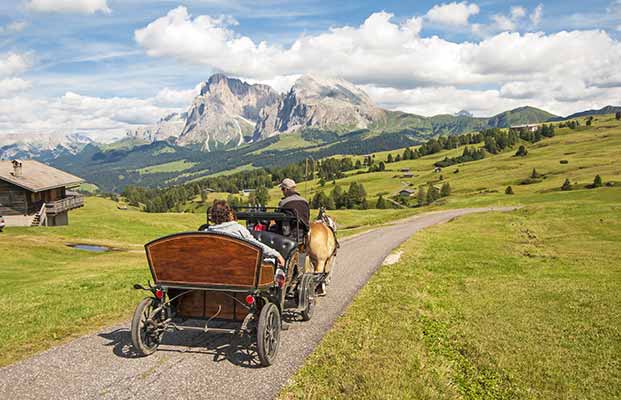 Giro in carrozza sull'Alpe di Siusi