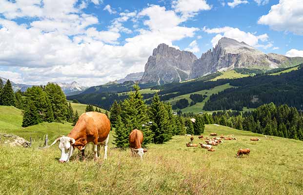 Vista sull'Alpe di Siusi