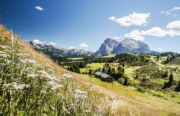 Alpe di Siusi e il Sassolungo