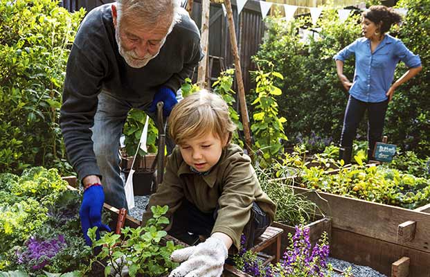 La famiglia fa giardinaggio