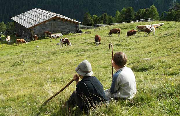 Due bambini osservano le mucche all'alpeggio