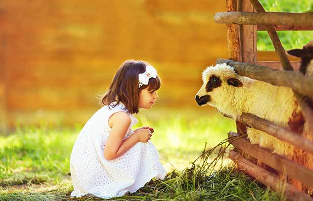 Ragazza che guarda una pecora