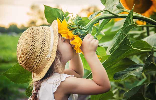 Il bambino annusa un girasole