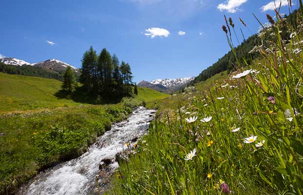 Montagne a Curon