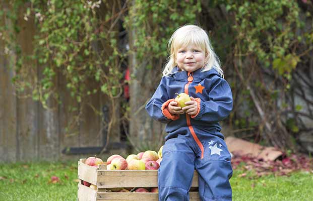 Bambino dopo la raccolta delle mele