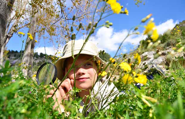 Il bambino scopre la natura