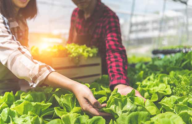 Uomo e donna che fanno giardinaggio