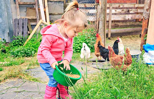 Bambino che dà da mangiare agli animali della fattoria