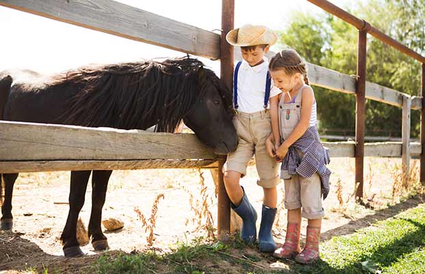 Ragazza e ragazzo accarezzano un cavallo