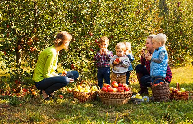 I bambini raccolgono le mele