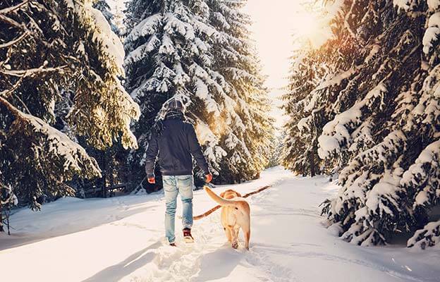 Passeggiata in inverno